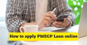 How to apply PMEGP Loan online